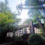 ヒメ日記 2025/09/17 08:52 投稿 小杉ちなつ 人妻百花