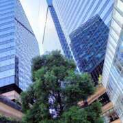 ヒメ日記 2025/10/01 09:30 投稿 小杉ちなつ 人妻百花