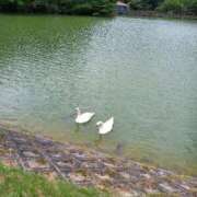 ヒメ日記 2025/10/14 06:40 投稿 小杉ちなつ 人妻百花