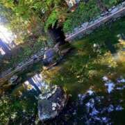 ヒメ日記 2025/11/03 22:06 投稿 小杉ちなつ 人妻百花