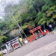 ヒメ日記 2025/11/09 14:20 投稿 小杉ちなつ 人妻百花