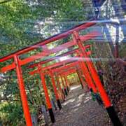 ヒメ日記 2025/11/10 08:17 投稿 小杉ちなつ 人妻百花