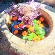 ヒメ日記 2025/11/12 12:16 投稿 小杉ちなつ 人妻百花