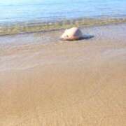 ヒメ日記 2025/11/28 06:46 投稿 小杉ちなつ 人妻百花