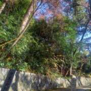 ヒメ日記 2025/12/18 22:01 投稿 小杉ちなつ 人妻百花