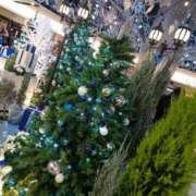 ヒメ日記 2025/12/20 20:52 投稿 小杉ちなつ 人妻百花