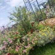 ヒメ日記 2025/12/26 22:44 投稿 小杉ちなつ 人妻百花