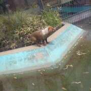 ヒメ日記 2025/12/28 09:25 投稿 小杉ちなつ 人妻百花