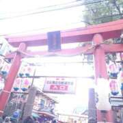 ヒメ日記 2026/01/11 21:37 投稿 小杉ちなつ 人妻百花