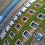 ヒメ日記 2026/03/07 09:16 投稿 小杉ちなつ 人妻百花