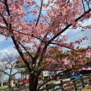 ヒメ日記 2026/03/21 08:16 投稿 小杉ちなつ ちょうどいい奥さん