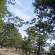 ヒメ日記 2026/03/24 13:30 投稿 小杉ちなつ ちょうどいい奥さん