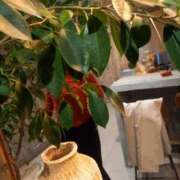 ヒメ日記 2026/03/26 14:32 投稿 小杉ちなつ ちょうどいい奥さん