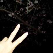 ヒメ日記 2026/04/05 14:08 投稿 小杉ちなつ ちょうどいい奥さん