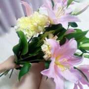 ヒメ日記 2026/04/22 06:56 投稿 小杉ちなつ ちょうどいい奥さん