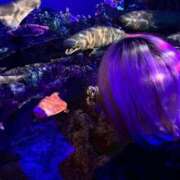 ヒメ日記 2025/11/24 22:45 投稿 のあ IRIS(岐阜)