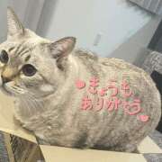 あのちゃん ありがと〜！ 横浜オナクラ 横浜JKプレイ