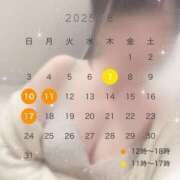 ヒメ日記 2025/08/02 07:45 投稿 和氣めい 人妻百花