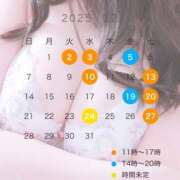 和氣めい 12月予定♥️🗓️✨ 人妻百花