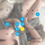 ヒメ日記 2026/04/03 19:57 投稿 和氣めい ちょうどいい奥さん