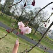 ヒメ日記 2026/03/30 21:51 投稿 ゆりあ Triple Pink(トリプルピンク)