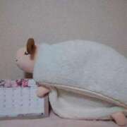 ヒメ日記 2026/03/03 06:20 投稿 いずみ BITボイン