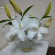 ヒメ日記 2026/03/11 07:04 投稿 いずみ BITボイン