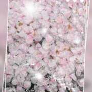 ヒメ日記 2026/04/02 00:18 投稿 いずみ BITボイン