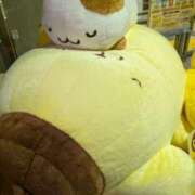 ヒメ日記 2026/04/27 02:43 投稿 いずみ BITボイン