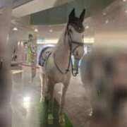 ヒメ日記 2025/10/26 00:27 投稿 みりや 熟女家 堺東店