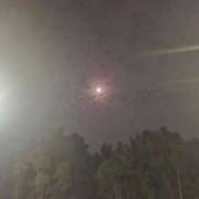 ヒメ日記 2025/10/30 19:37 投稿 みりや 熟女家 堺東店