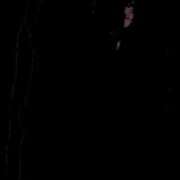 ヒメ日記 2025/07/17 08:49 投稿 かほ 名古屋回春性感マッサージ倶楽部