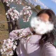 ヒメ日記 2026/02/28 08:59 投稿 かほ 名古屋回春性感マッサージ倶楽部