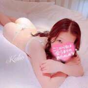 ヒメ日記 2026/03/20 02:59 投稿 かほ 名古屋回春性感マッサージ倶楽部