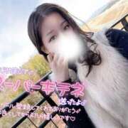 ヒメ日記 2026/03/25 08:39 投稿 かほ 名古屋回春性感マッサージ倶楽部