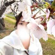 ヒメ日記 2026/03/29 14:39 投稿 かほ 名古屋回春性感マッサージ倶楽部