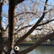 かほ HAPPYな1日を🍀*゜ 名古屋回春性感マッサージ倶楽部