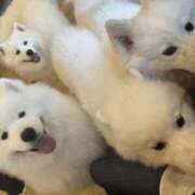 あんり 2/22 梅田ゴールデン倶楽部