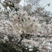 ヒメ日記 2026/04/03 23:02 投稿 あんり 梅田ゴールデン倶楽部