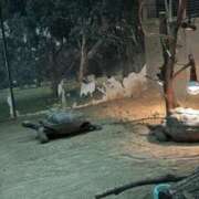 ヒメ日記 2026/04/10 18:12 投稿 あんり 梅田ゴールデン倶楽部