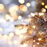 ヒメ日記 2025/12/15 14:32 投稿 しずか 水戸人妻花壇