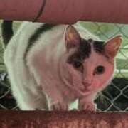 ヒメ日記 2025/08/19 11:02 投稿 きり 人妻㊙︎倶楽部