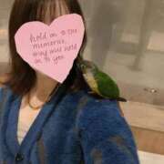 ヒメ日記 2025/12/22 16:31 投稿 ことね 人妻熟女奉仕倶楽部