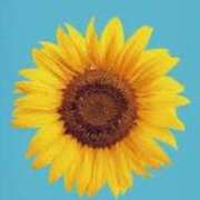 一条　にあ ⁿ›̥̥̥ ω ‹ⁿ♡ YUDEN～油殿～堺東店