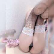 ヒメ日記 2026/02/26 17:30 投稿 一条　にあ YUDEN～油殿～堺東店