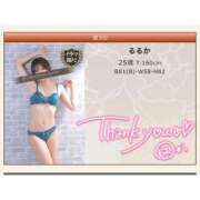 ヒメ日記 2025/10/24 08:04 投稿 るるか 沼津人妻花壇