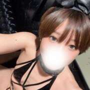 ヒメ日記 2025/11/01 08:18 投稿 るるか 沼津人妻花壇