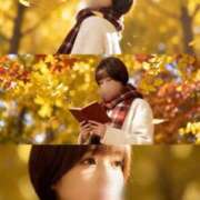 ヒメ日記 2025/11/26 15:08 投稿 るるか 沼津人妻花壇