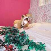 るるか 心臓に悪すぎます😥😥 沼津人妻花壇