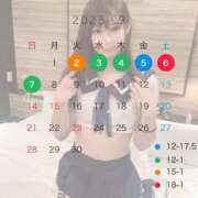 ヒメ日記 2025/08/27 04:19 投稿 らな とある風俗店♡やりすぎさーくる新宿大久保店♡で色んな無料オプションしてみました